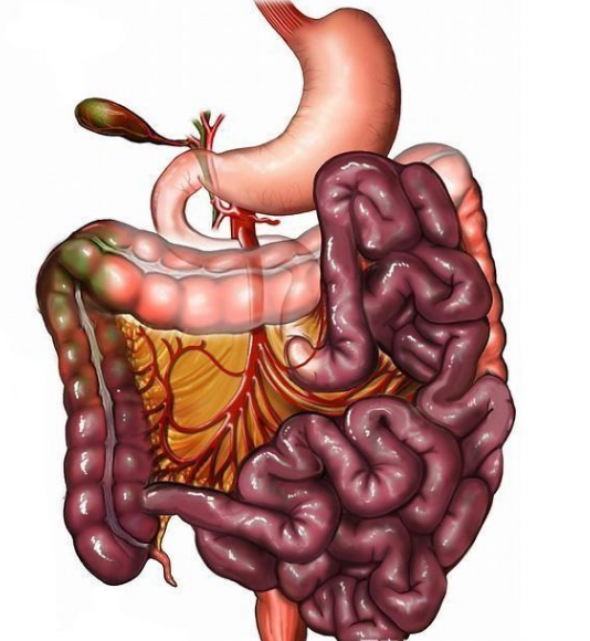 腸息肉者，排便出現(xiàn)3個異常，十有八九息肉已變成“癌”